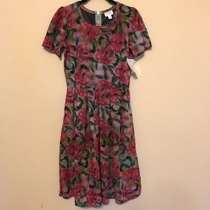 NWT Small LuLaRoe Amelia dress